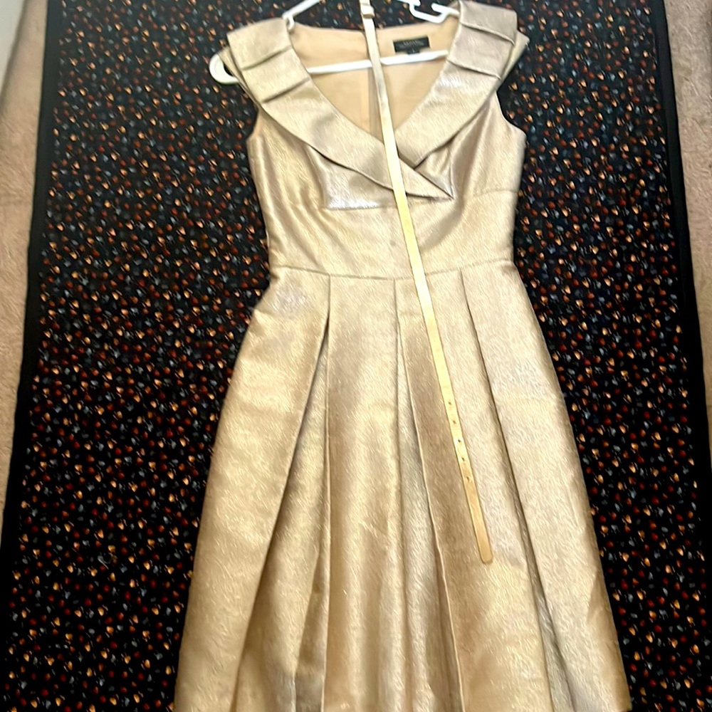 Tagari gold dress with belt